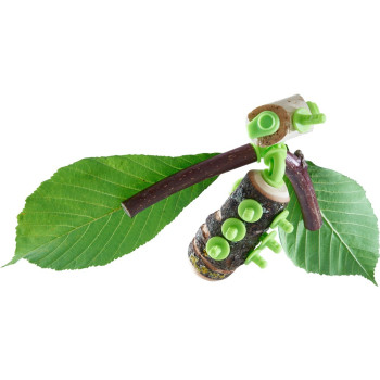 Kit Animali Terra Kids Haba