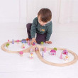 Pista Treno Fate Bigjigs Train