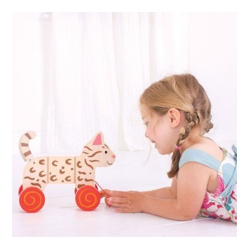 Gatto Trainabile Bigjigs Toys