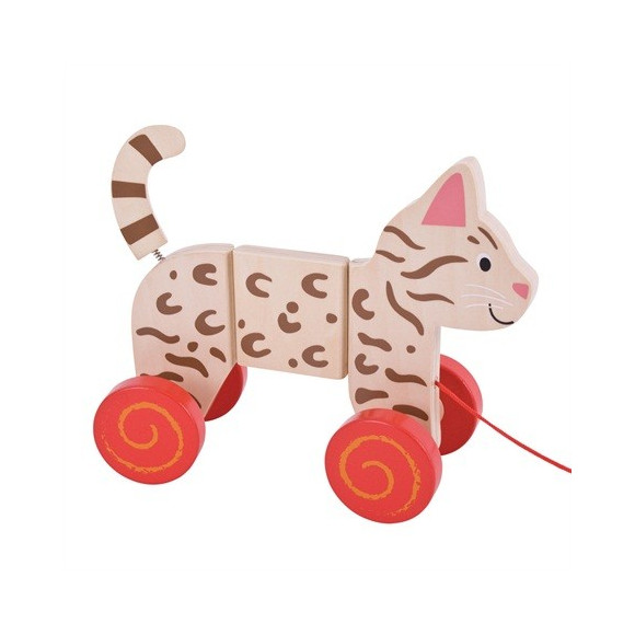 Gatto Trainabile Bigjigs Toys