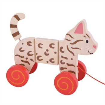 Gatto Trainabile Bigjigs Toys