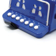 Fisarmonica Blu 