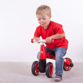 Diditrike Ladybird Bigjigs Toys