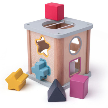 Shape Sorter Bigjigs Toys