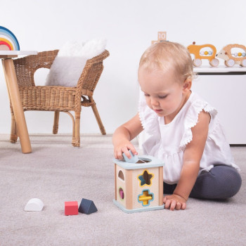 Shape Sorter Bigjigs Toys