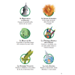 I classici facili - Il mago di Oz Erickson