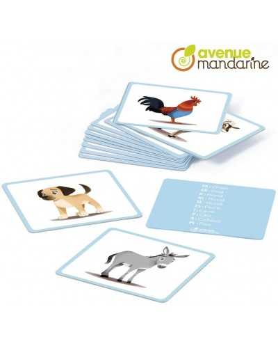 Carte Animali Avenue Mandarine