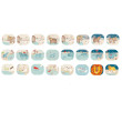 Torcia Les Papoum Moulin Roty