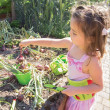 Cintura Giardiniere Bigjigs Toys