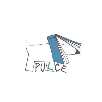 Un giorno, un ascansore Pulce Editore