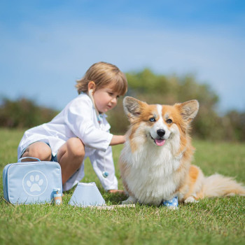 Veterinario Bigjigs Toys