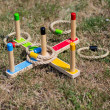 Lancio gli anelli Bigjigs Toys