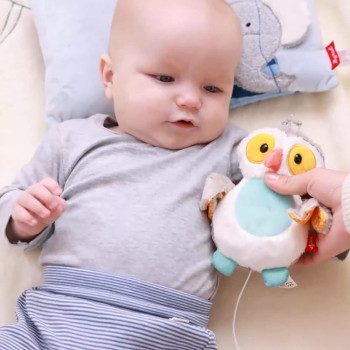 Gufo Carillon Sigikid