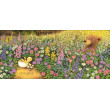 É primavera orsetto Emme Edizioni