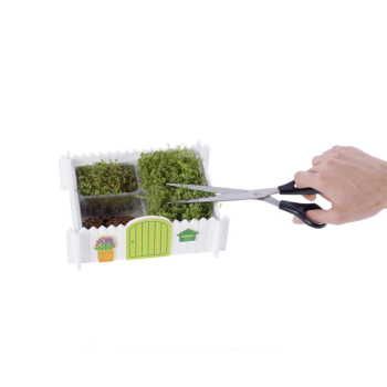 Il mio giardino Goki