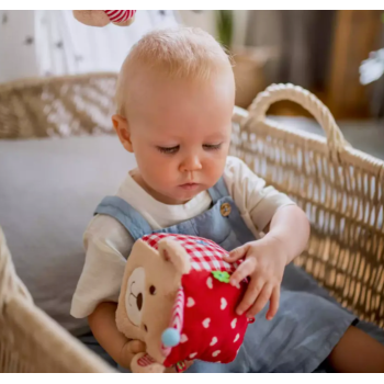 Cubo Teddy - Mastro Geppetto, giochi e giocattoli creativi
