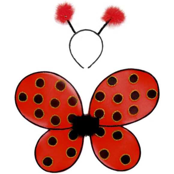 Ali coccinella
