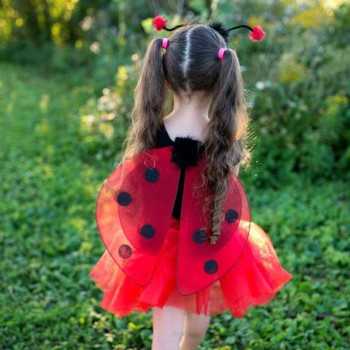 Tutù, ali e cerchietto Ladybug