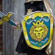 Scudo e spada Lionheart
