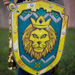 Scudo e spada Lionheart