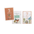Carte 12 mesi Tre piccoli conigli