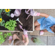 Set Fairy Garden
