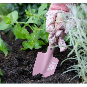 Set Fairy Garden