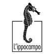 Il libro innamorato