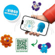FunDo Wild