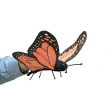 Farfalla Mano 