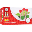 Stegosauro Trainabile Bigjigs Toys