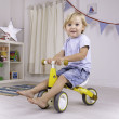 Diditrike Giraffa Bigjigs Toys