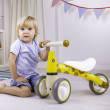 Diditrike Giraffa Bigjigs Toys