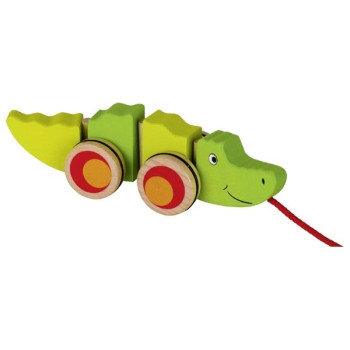Trainabile Coccodrillo Goki