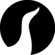 Pelle d'oca